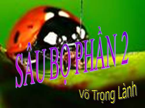 Sâu bọ phần 2