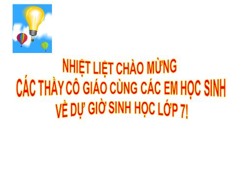 Bài 22. Tôm sông