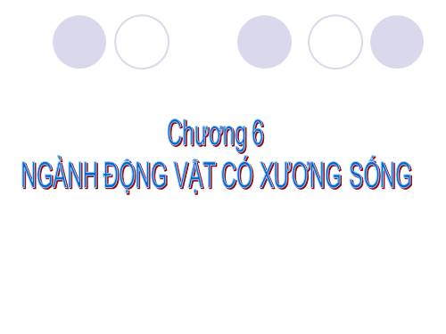 Bài 31. Cá chép
