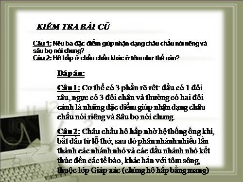 Bài 27. Đa dạng và đặc điểm chung của lớp Sâu bọ
