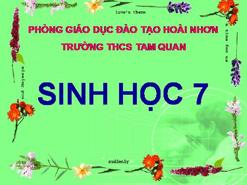Bài 25. Nhện và sự đa dạng của lớp Hình nhện