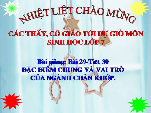 Bài 29. Đặc điểm chung và vai trò của ngành Chân khớp