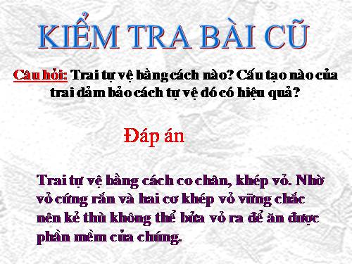 Bài 19. Một số thân mềm khác