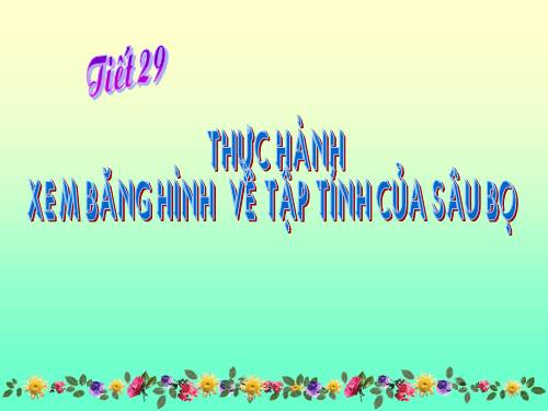 Bài 28. Thực hành: Xem băng hình về tập tính của sâu bọ