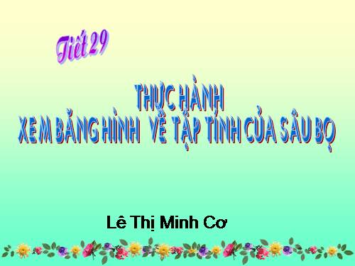 Bài 28. Thực hành: Xem băng hình về tập tính của sâu bọ