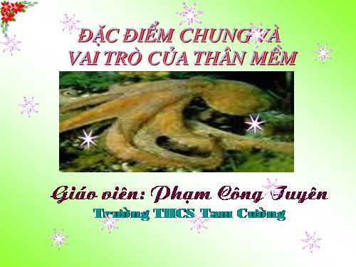 Bài 21. Đặc điểm chung và vai trò của ngành Thân mềm