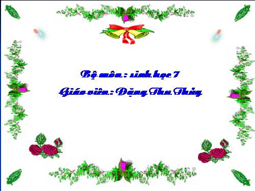 Bài 41. Chim bồ câu