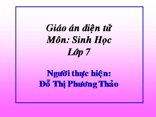 Bài 49. Đa dạng của lớp Thú: Bộ Dơi và bộ Cá voi