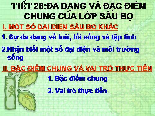 Bài 27. Đa dạng và đặc điểm chung của lớp Sâu bọ