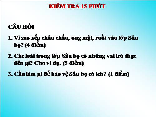 Bài 28. Thực hành: Xem băng hình về tập tính của sâu bọ