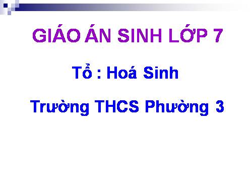 Bài 17. Một số giun đốt khác và đặc điểm chung của ngành Giun đốt