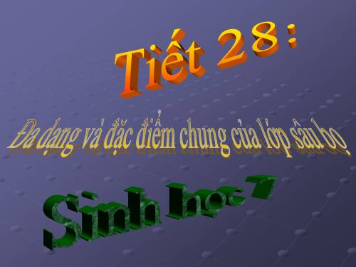 Bài 27. Đa dạng và đặc điểm chung của lớp Sâu bọ
