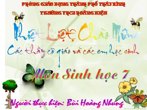 Bài 25. Nhện và sự đa dạng của lớp Hình nhện