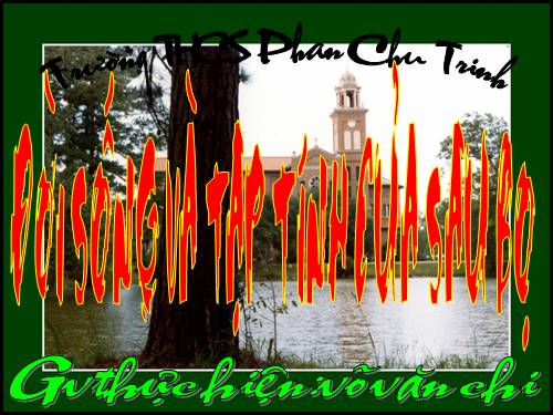 tap tinh cua sau bo