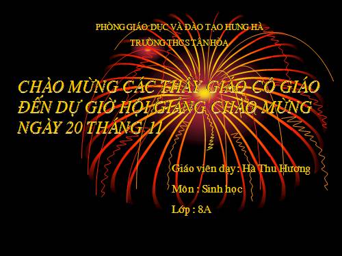 Bài 4. Trùng roi