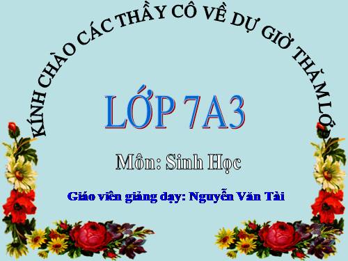 Bài 21. Đặc điểm chung và vai trò của ngành Thân mềm