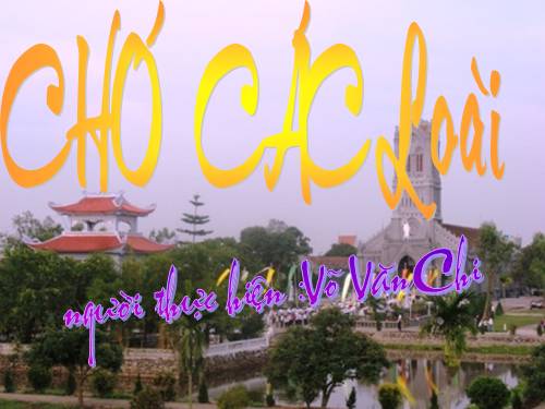 tư liệu sinh học 7 nè(lớp thú) HOT !!