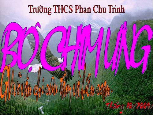 tư liệu sinh học 7 nè(lớp chim p1) HOT !!