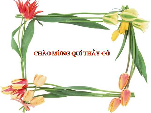 Bài 22. Tôm sông
