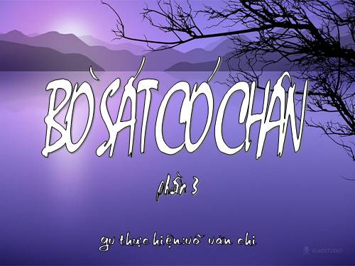 BÒ SÁT P3