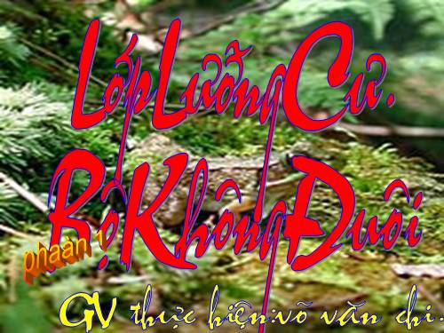 LƯỠNG CƯ P1