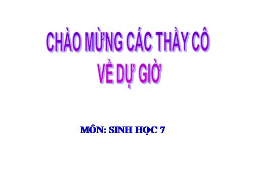 Bài 25. Nhện và sự đa dạng của lớp Hình nhện