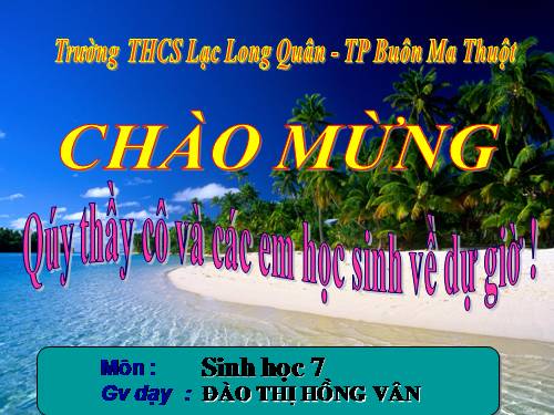 Bài 21. Đặc điểm chung và vai trò của ngành Thân mềm