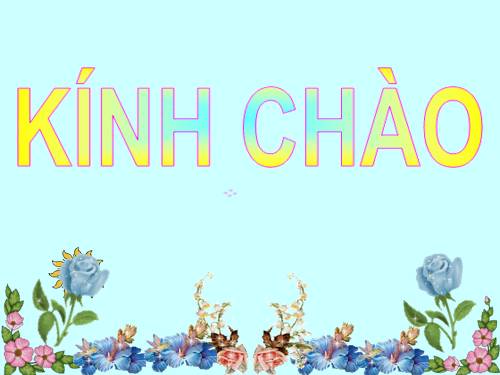 Bài 19. Một số thân mềm khác