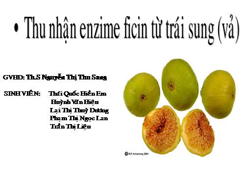 cong nghe san xuat