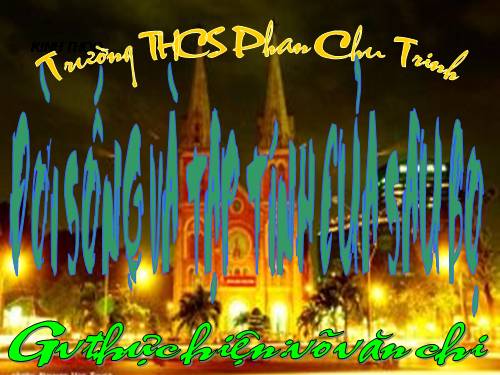 Tư liệu sinh học 7(lớp sâu bọ) ÔNG P2