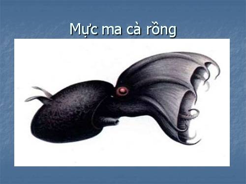 Thân mềm phần 2