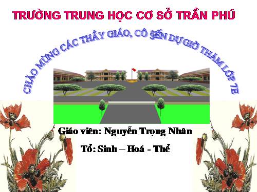 Bài 23. Thực hành: Mổ và quan sát tôm sông