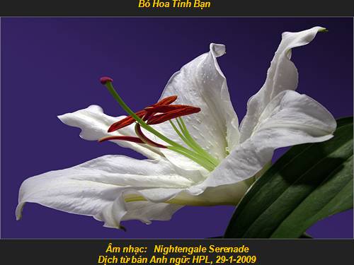 Bài 58. Đa dạng sinh học (tiếp theo)
