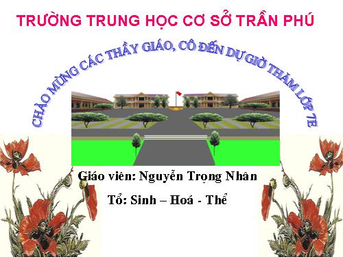 Bài 22. Tôm sông