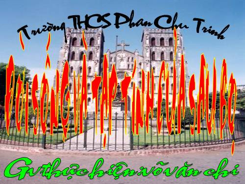 Tư liệu sinh học 7(lớp sâu bọ phần 3)