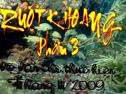 tư liệu sinh học 7 (ruột khoang ở biển phần 3) HOT !!