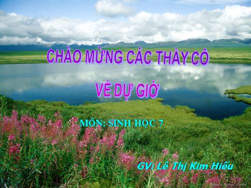 Bài 19. Một số thân mềm khác