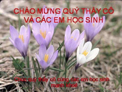 Bài 44. Đa dạng và đặc điểm chung của lớp Chim