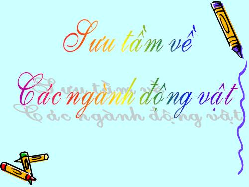 suu tam ve nganh dong vat lop 7
