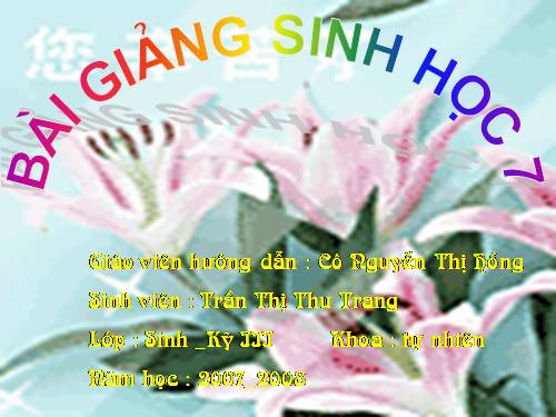 Bài 46. Thỏ