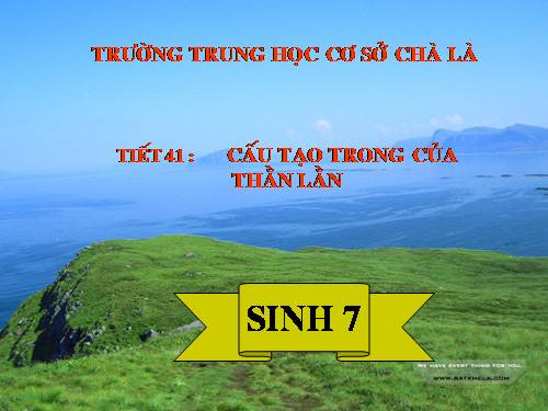 Bài 39. Cấu tạo trong của thằn lằn