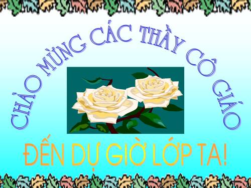 Bài 25. Nhện và sự đa dạng của lớp Hình nhện