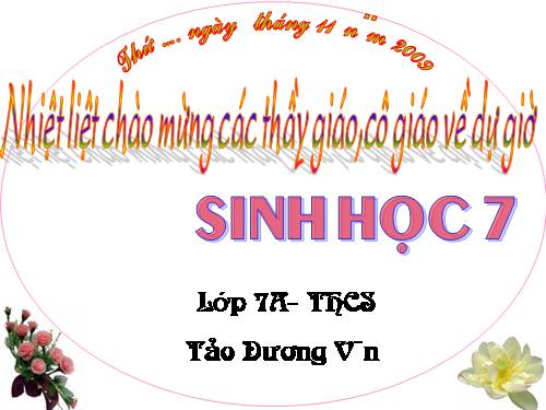 Bài 21. Đặc điểm chung và vai trò của ngành Thân mềm