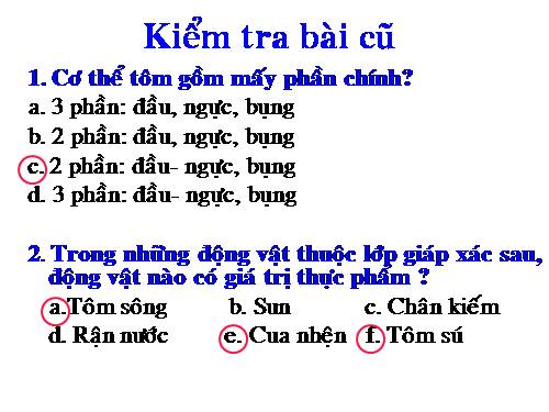 Bài 25. Nhện và sự đa dạng của lớp Hình nhện