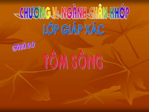 Bài 22. Tôm sông