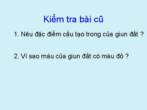 Bài 17. Một số giun đốt khác và đặc điểm chung của ngành Giun đốt