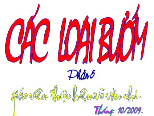 lớp sâu bọ đẹp nhất đây!vô mà xem!!!
