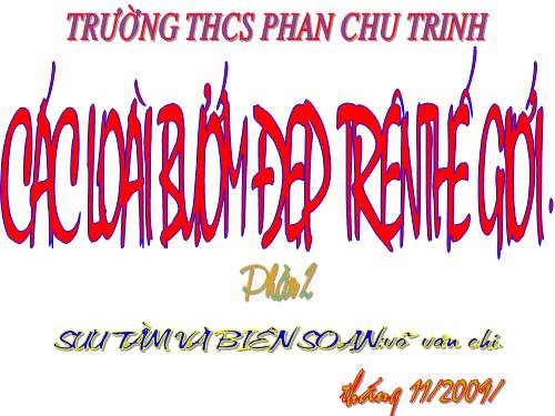 "BÚM"của em đẹp lắm nè!!!.xem hông????