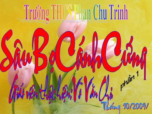 hình sâu bọ cánh cứng nè!HOT lắm đó@