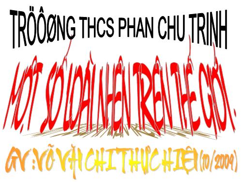 nhện HOT đây!!
